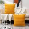 2 Pieces Fall Throw Pillow Cases, Striped Yellow Cushion Cases Velvet Pillow Covers for Farmhouse Home Decor, 16x16 Inch